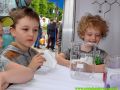 piknik2016060 piknik2016060