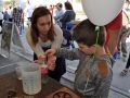 piknik2016072 piknik2016072
