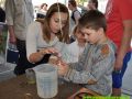 piknik2016073 piknik2016073